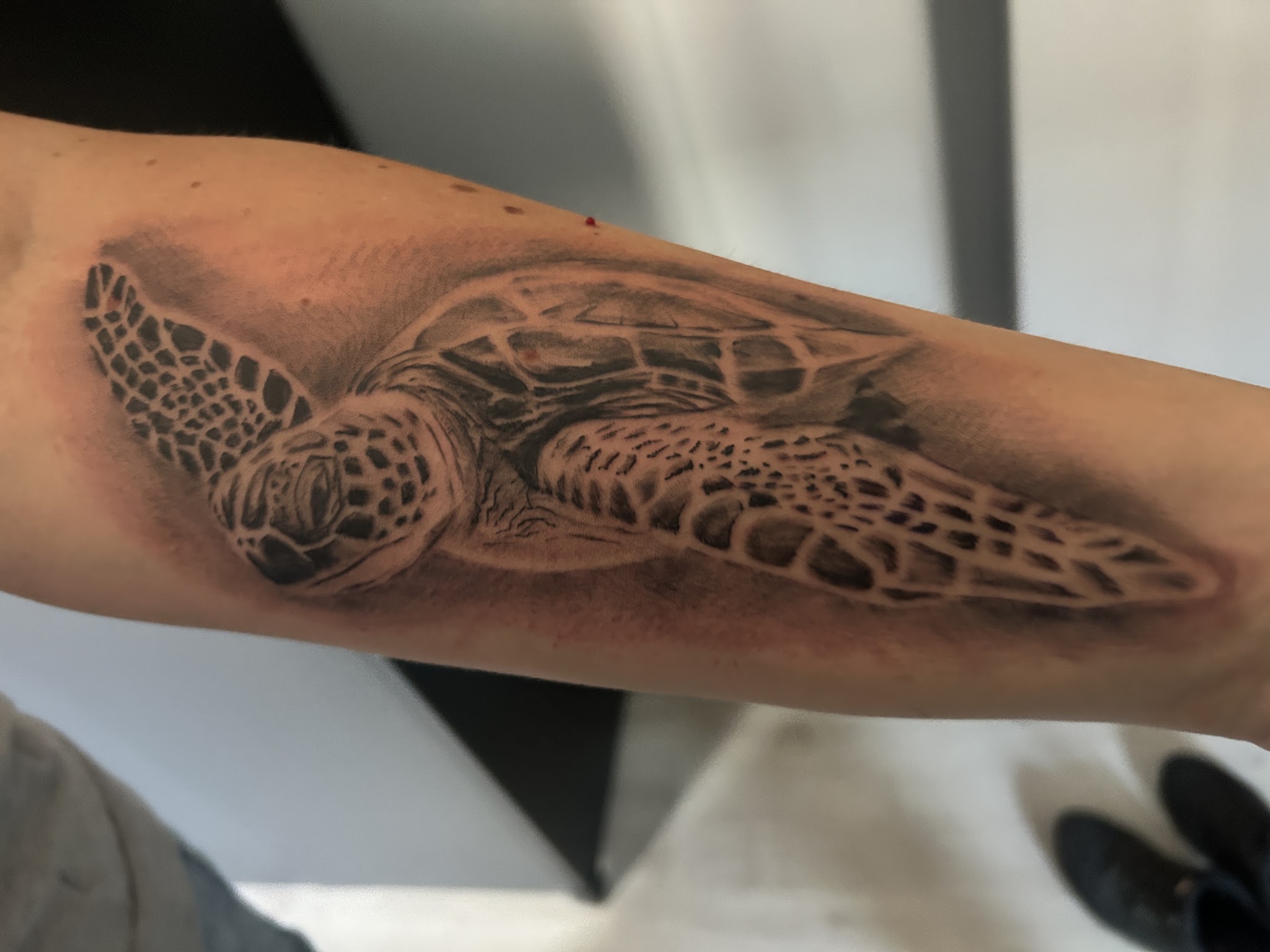 Zeeschildpad getatoeëerd op een onderarm